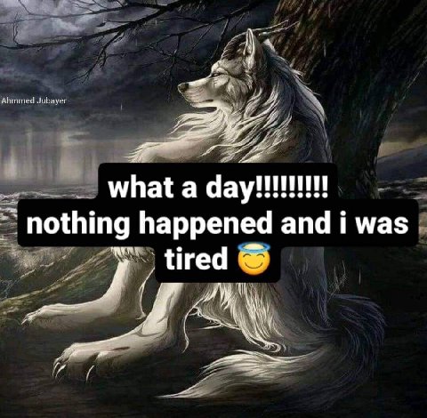 Аплимей Jubayer whata nothing happened and i was a