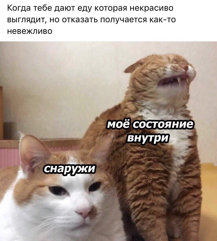 Когда тебе дают еду которая некрасиво выглядит, но отказать получается как-то невежливо моё состояние внутри