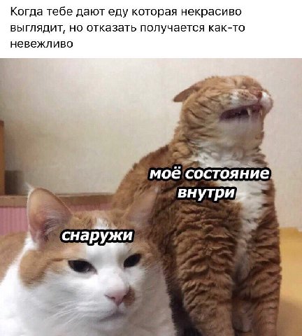 Когда тебе дают еду которая некрасиво выглядит, но отказать получается как-то невежливо моё состояние внутри