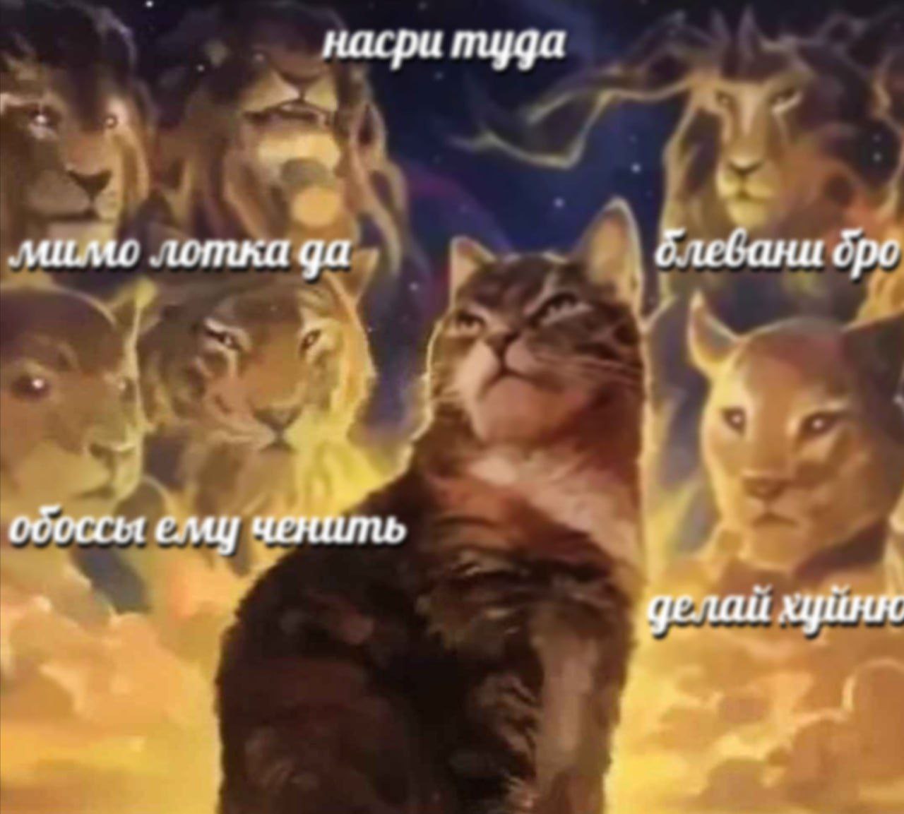 насри туда Хлебани бро обоссы