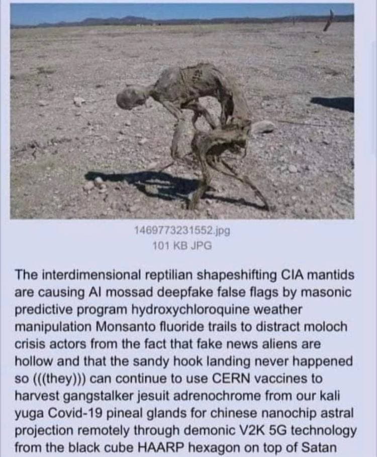 101 JPG The interdimensional reptilian shapeshifting CIA mantids are causing mossad deepfake false flags masonic predictive program hydroxychloroquine weather manipulation Monsanto fluoride trails to 