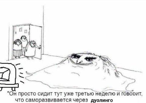 "Он просто сидит тут уже третью неделю и говбоит, что саморазвивается через дуолинго