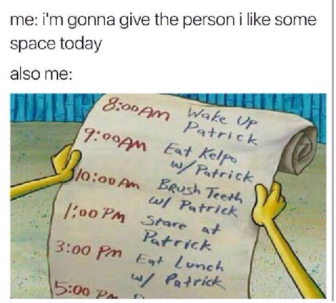 me: gonna give the person i like some space today also me: We Rush
