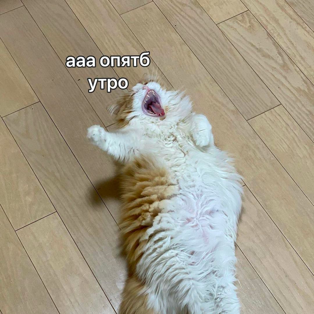 ааа опятб yTpo