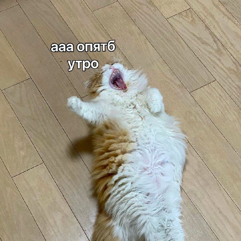 ааа опятб yTpo