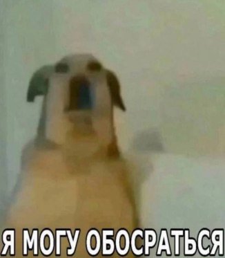Я МОГУ ОБОСРАТЬСЯ