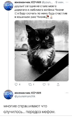 юнеманчик КОЧАН @youn... -9 мин. друзья! сегодня He стало моего дорогого и любимого котёнка Чмони я буду скучать по нему будь счастлив в кошачьем раю Чмоня a я с 6 2 юнеманчик КОЧАН @younemanchik мног