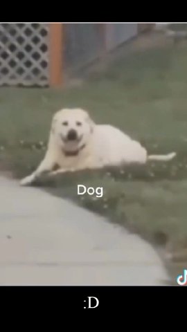 мем