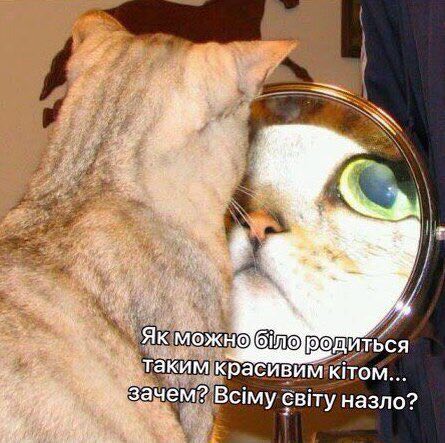 таким KITOM.. 1 Зачем? Bcimy CBITY назло? 4