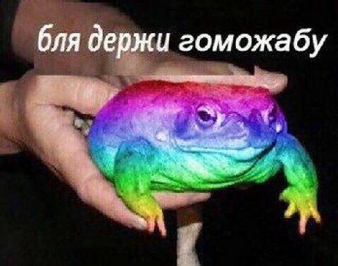 бля держи гоможабу