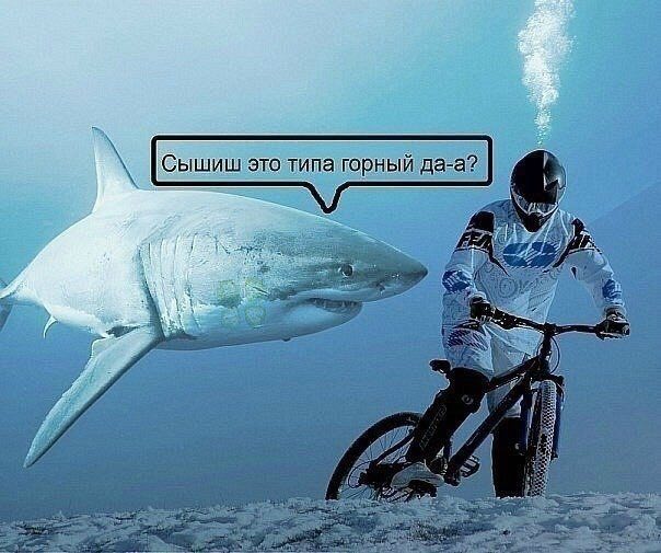 Сышиш это типа горный да 4
