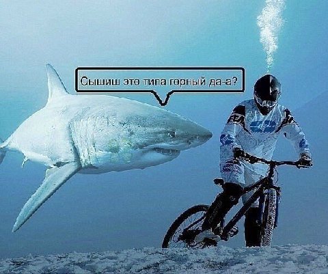 Сышиш это типа горный да 4