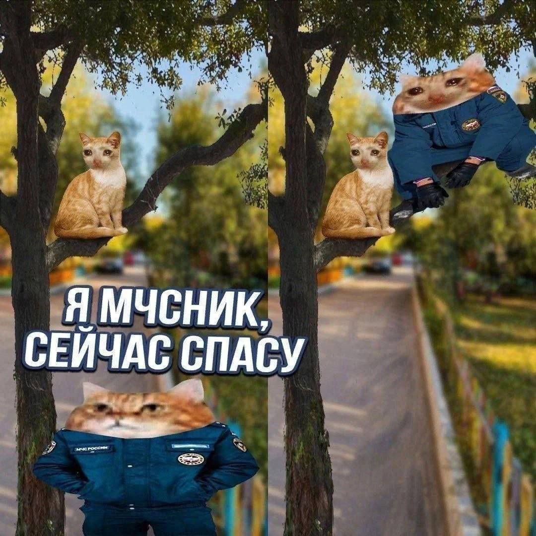 Я МЧСНИК, СЕЙЧАС СПАСУ