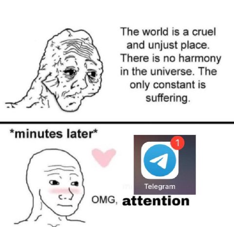 The world is a cruel and unjust place. There is no harmony in the universe. The only constant is suffering. *minutes later* с Telegram OMG, attention