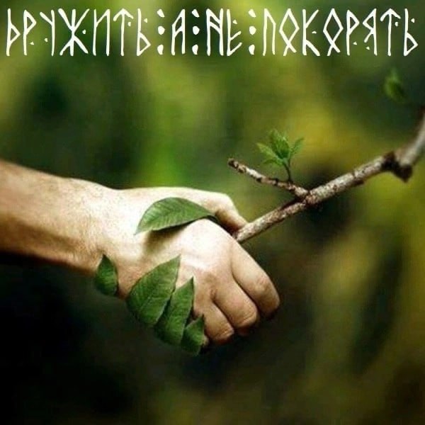КУРЯТЬ