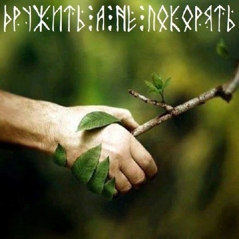 КУРЯТЬ