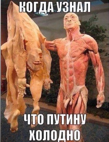 УЗНАЛ ЧТО ПУТИНУ КОЛОДНО