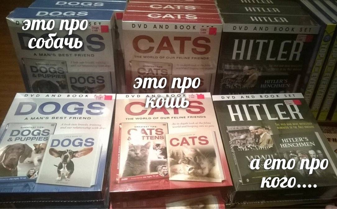 это про это про AND BOOK EST FRIEND THE WORLD OF OUR in loth at with A breeds cote с ТТЕМ 2 OGS CATS аето про