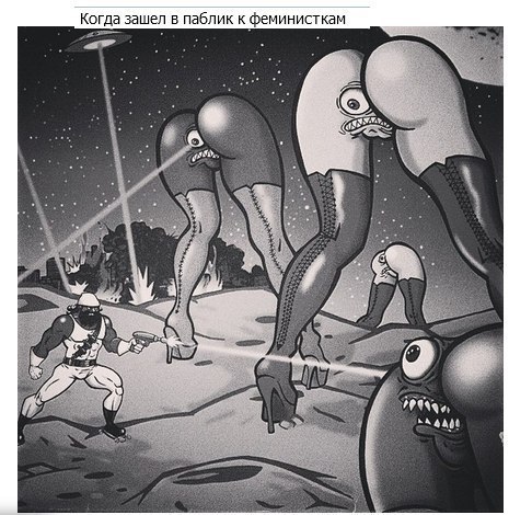 Когда зашел в паблик к феминист кам a