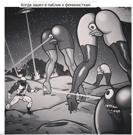 Когда зашел в паблик к феминист кам a