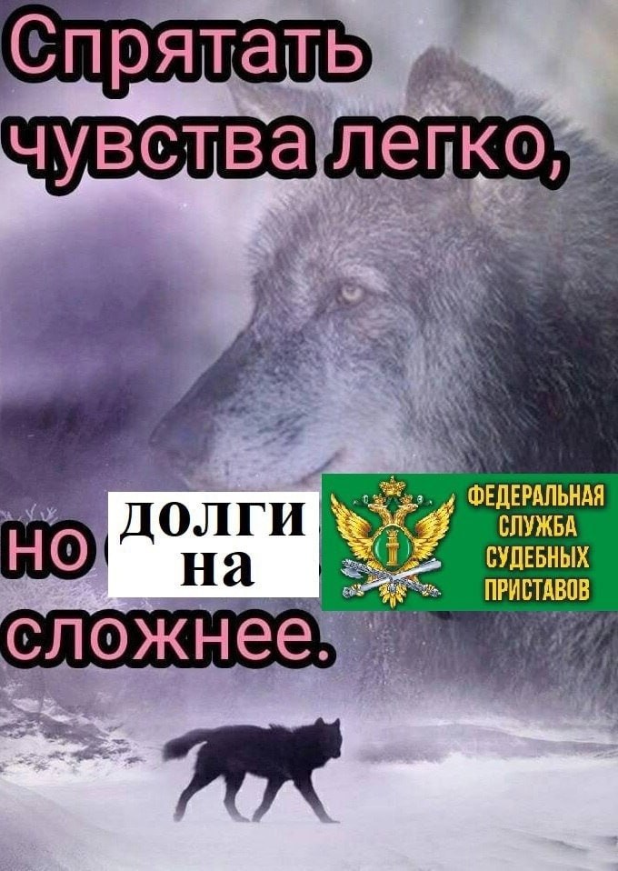 Спрятать лепко чувства ФЕДЕРАЛЬНАЯ долги. СЛУЖБА НО на СУДЕБНЫХ ПРИ сложнее