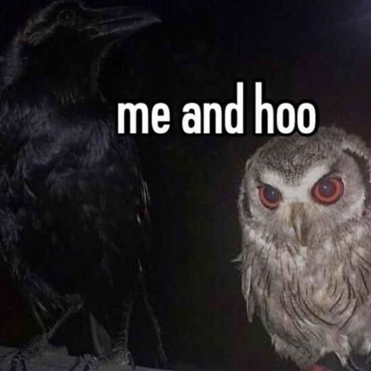 me and hoo