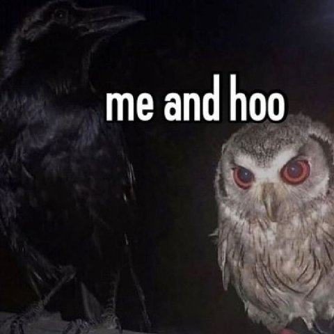 me and hoo
