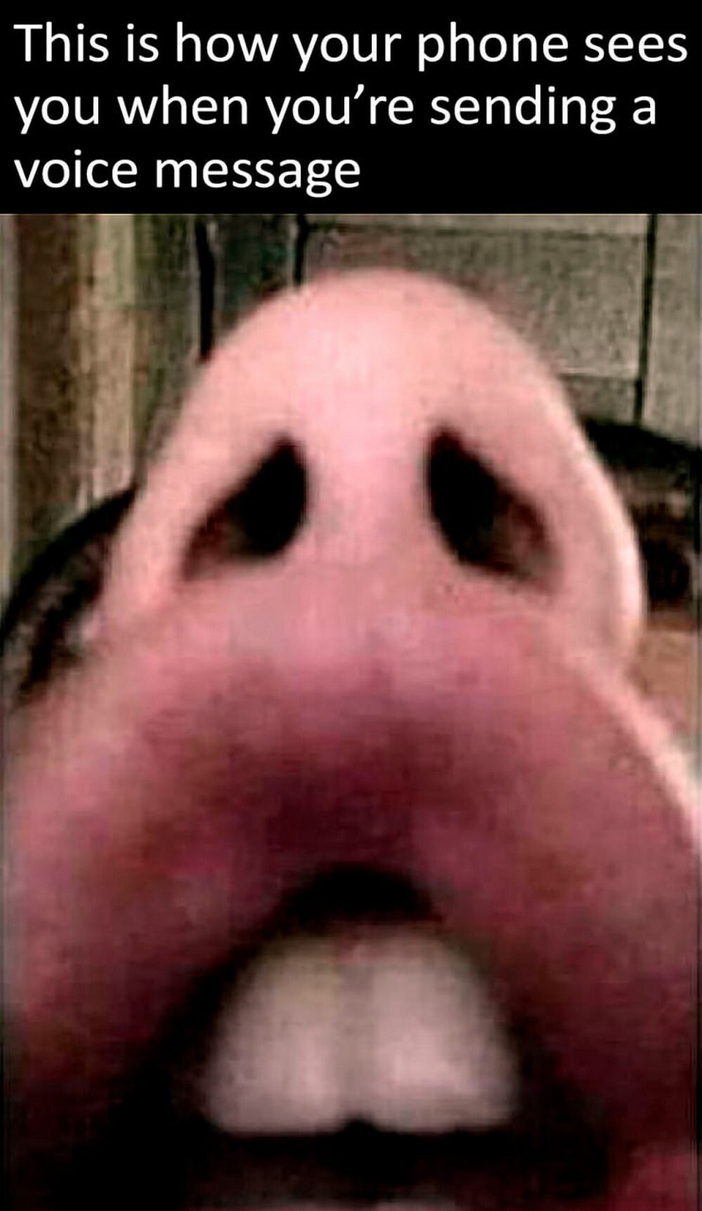 This is how your phone sees you when sending а voice message у