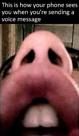 This is how your phone sees you when sending а voice message у