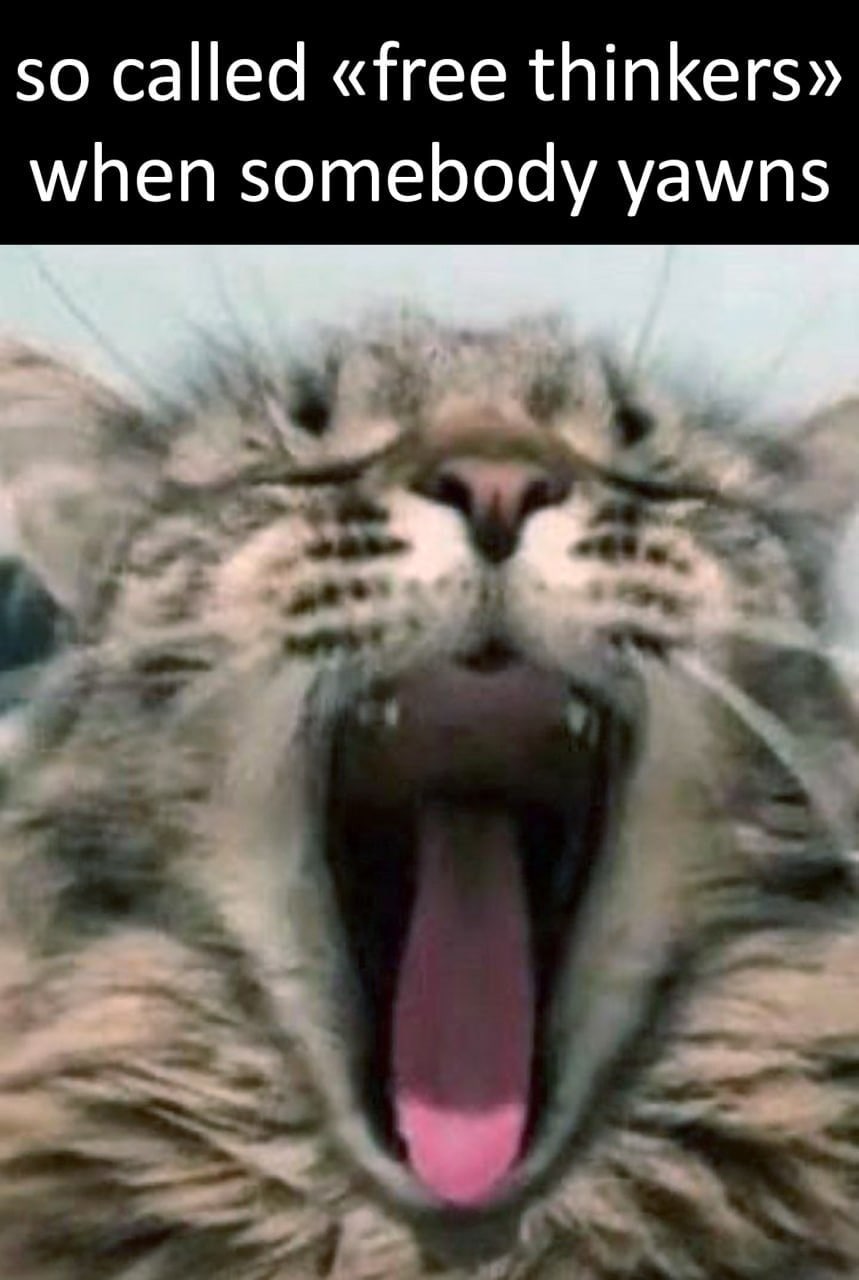 so called «free thinkers» when somebody yawns