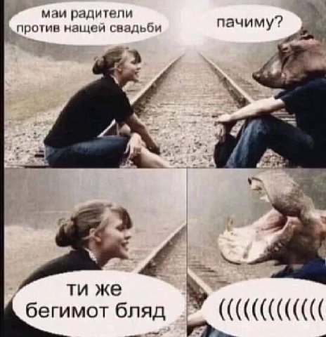 маи радители пачиму? ротив нащей свадьб у же бегимот бляд