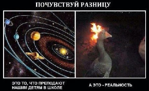 ПОЧУВСТВУЙ РАЗНИЦУ ЭТО ТО, ЧТО ПРЕПОДАЮТ А ЭТО РЕАЛЬНОСТЬ НАШИМ ДЕТЯМ В ШКОЛЕ