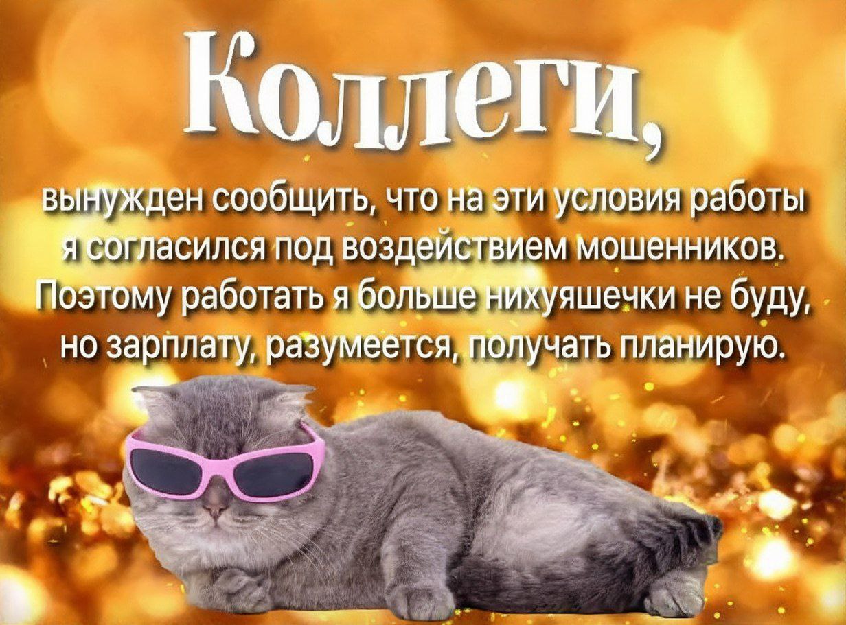 Коллеги. ВЫ жден сообщить, что на эти условия работы асился под воздействием мошенников. OSTOMY работать я боль яшечки не буду, зарплату, разум по. Лучать планирую.