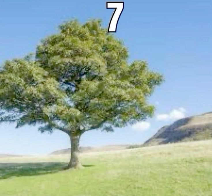 1. 4 a 7