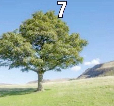 1. 4 a 7
