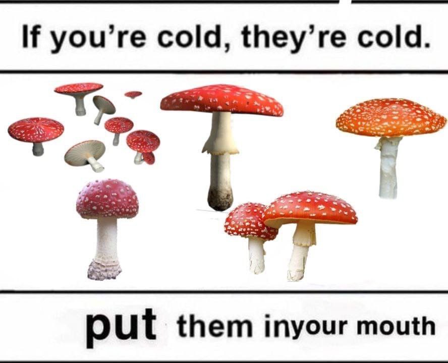 you’re cold, they’re cold. put them inyour mouth