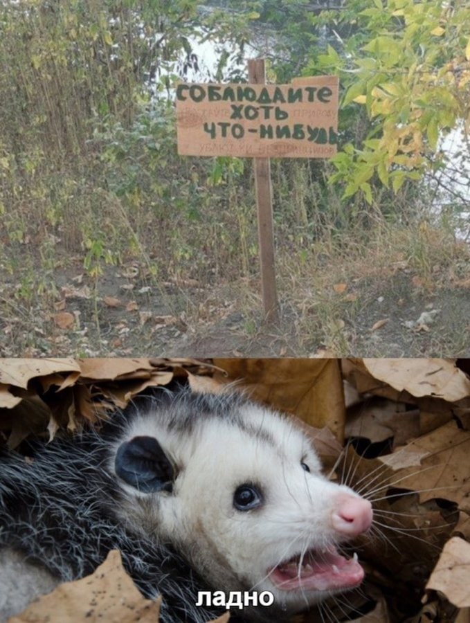 ладно