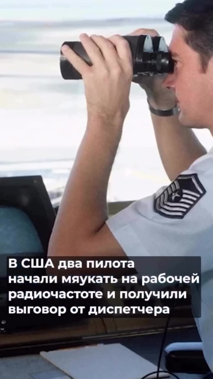 В США два пилота начали мяукать на рабочей на рабочей радиочастоте и получили выговор от диспетчера радиочастоте и получили | выговор от диспетчера } — Вот поэтому Я