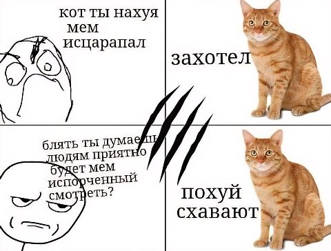 KOT ты нахуя мем исцарапал захоте блять ты дума мем исп похуй схавают