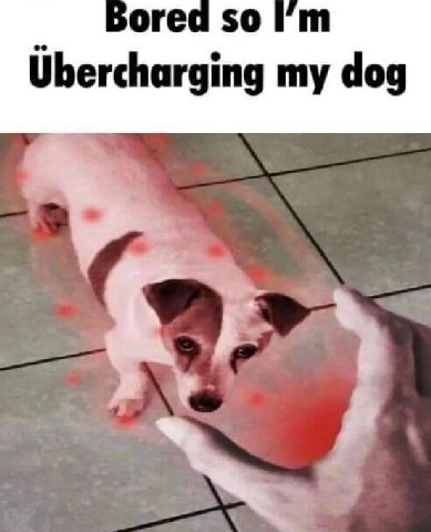 оге Ubercharging dog
