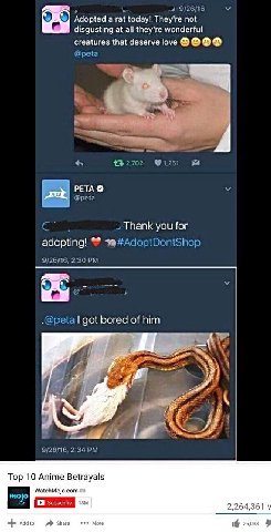 “2 Adopted a rat today! They're not disgusting at all they're wonderful creatures that deserve love РЕТА Thank you for adopting! A got bored of him 4 Тор 10 Anime Betrayals WatchMojo.com 2,264,361 у e