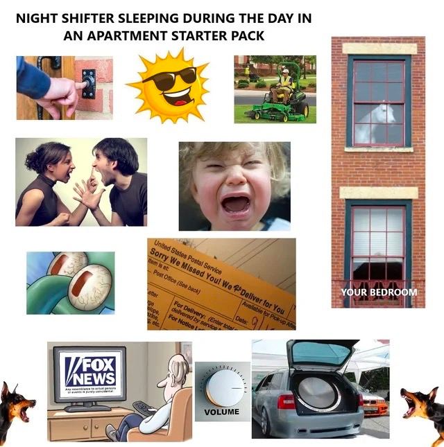 NIGHT SHIFTER SLEEPING DURING THE DAY IN AN APARTMENT STARTER PACK A BEDROOM FOX /NEW: