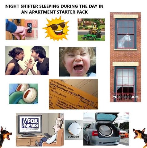NIGHT SHIFTER SLEEPING DURING THE DAY IN AN APARTMENT STARTER PACK A BEDROOM FOX /NEW: