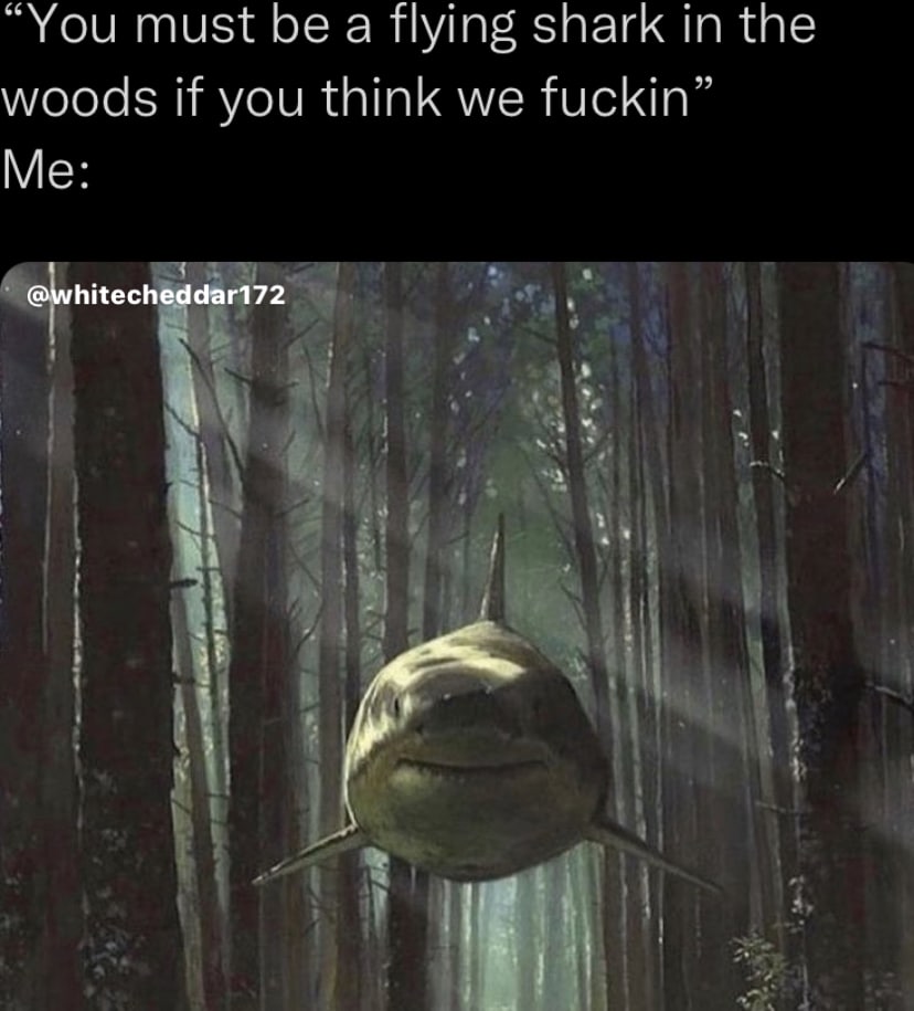 “You must be a flying shark in the woods if you think we fuckin @whitecheddar172