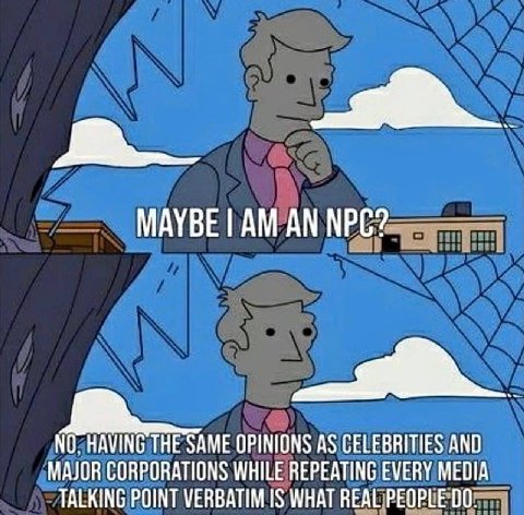 МАУВЕ NPC? NO. HAVING THE SAME OPINIONS AS CELEBRITIES AND MAJOR CORPORATIONS WHILE REPEATING EVERY MEDIA TALKING POINT VERBATIM IS WHAT REAL