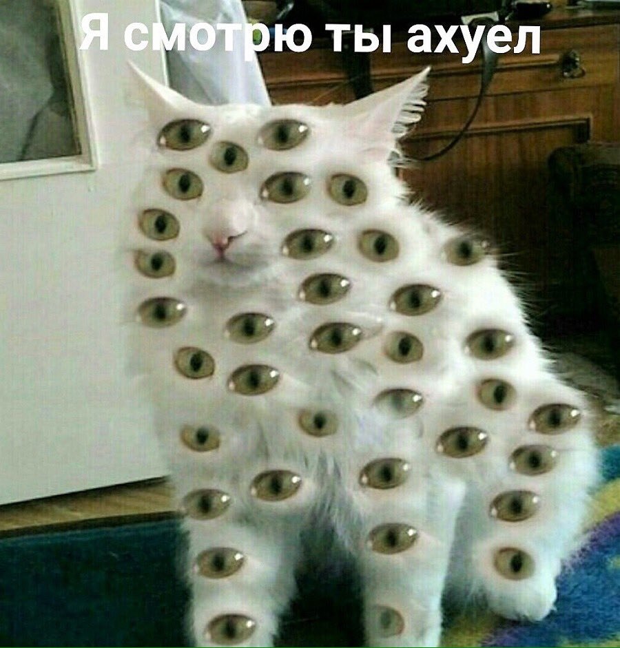 ты ахуел