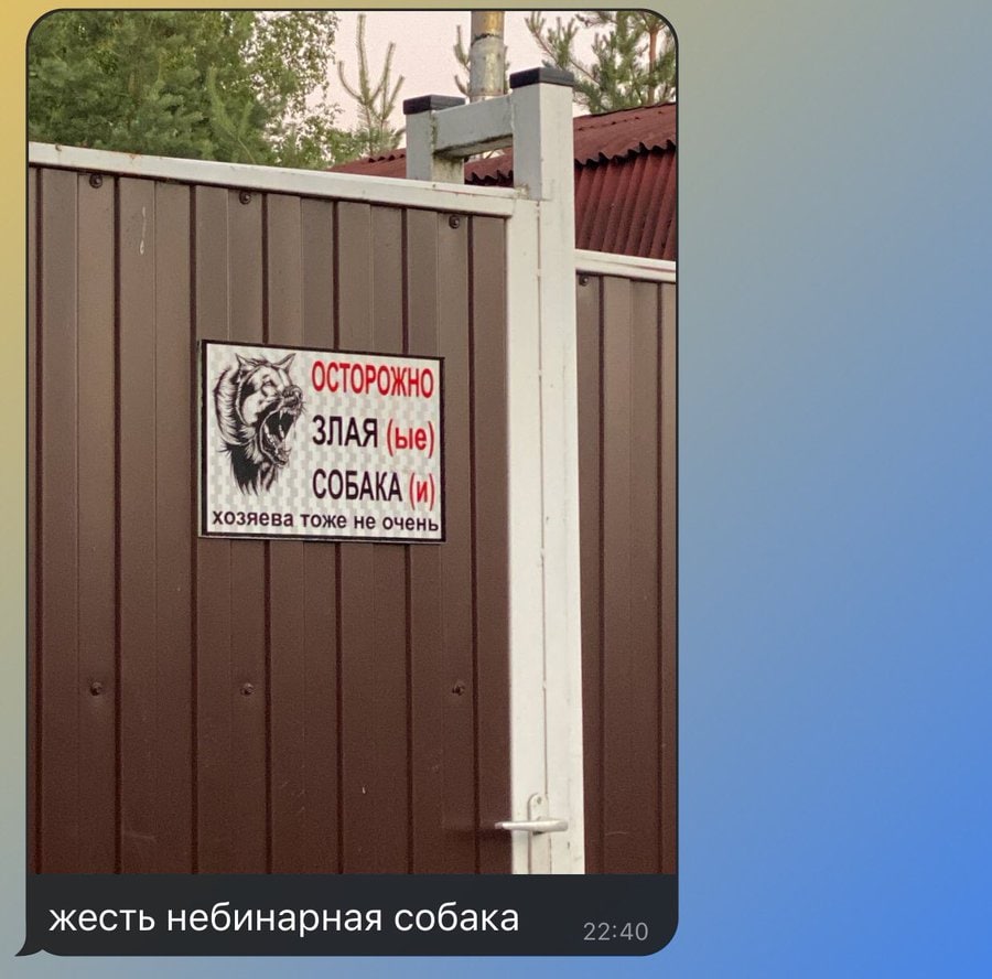 ОСТОРОЖНО ЗЛАЯ (Lie) СОБАКА (и) хозяева тоже не очень жесть небинарная собака