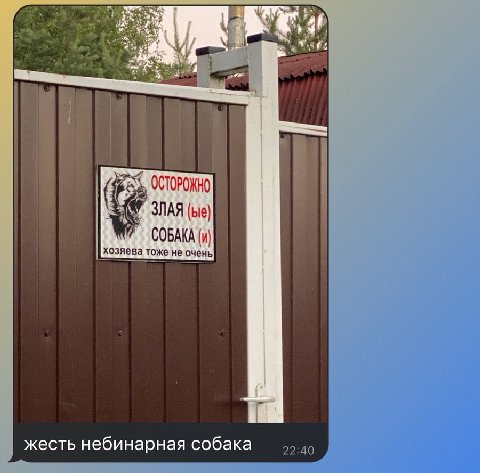 ОСТОРОЖНО ЗЛАЯ (Lie) СОБАКА (и) хозяева тоже не очень жесть небинарная собака