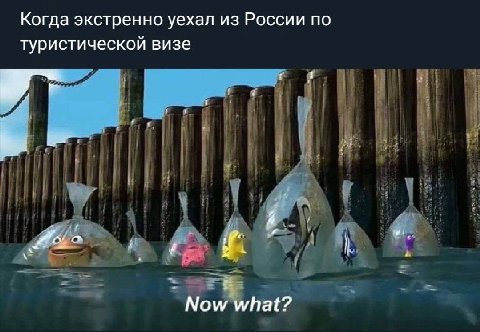 Когда экстренно уехал из России по туристической визе Now what?