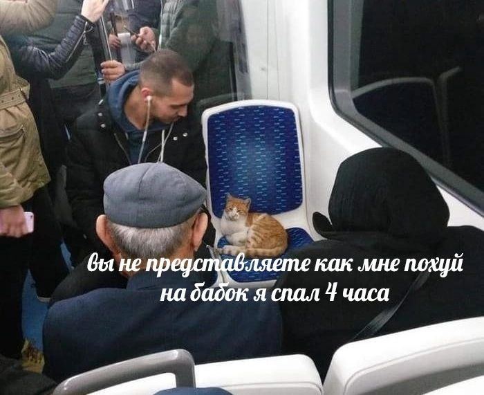 вы не представляете как мне похуй на бадок я спал 1 часа